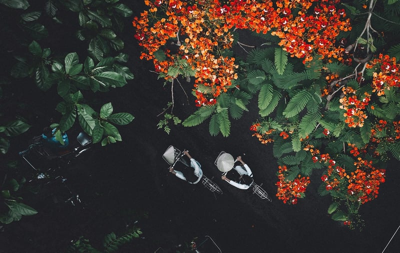 Gardeners sharing seeds